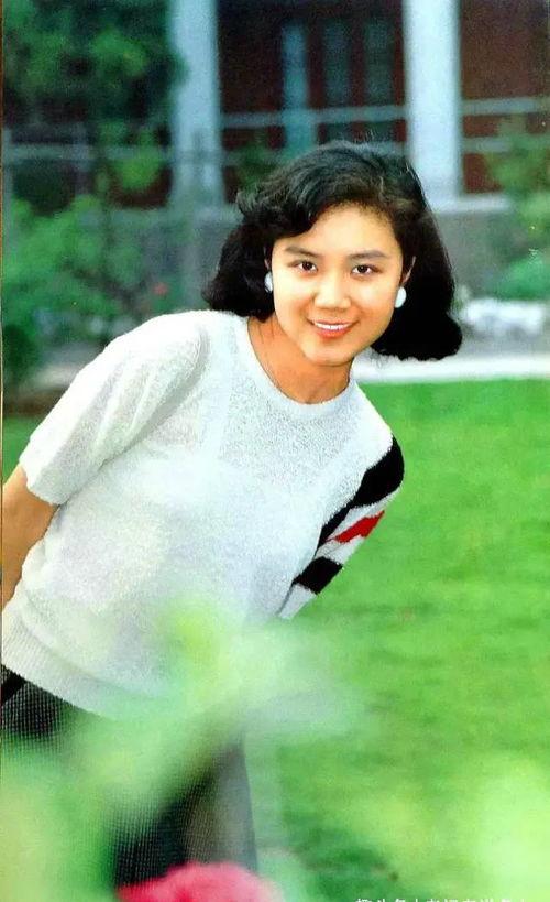 严晓频明星小说,严晓频笔下的璀璨星河