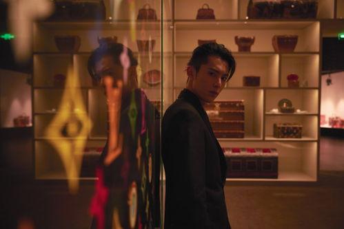 王鹤棣品牌明星,璀璨星途，品牌明星的魅力绽放