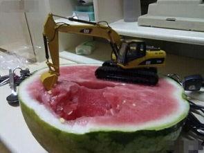 霸气吃瓜群,揭秘网络社交圈的独特魅力