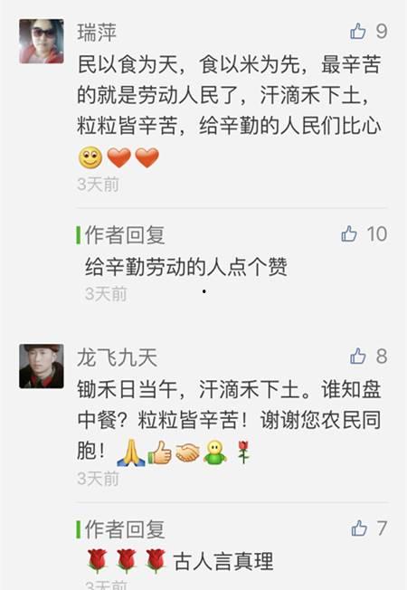 舒兰大米今日头条,品味东北大地上的黄金稻香