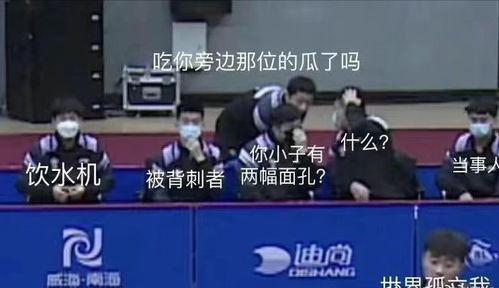 吃瓜专业团队成员,揭秘娱乐圈幕后真相的“瓜农”们