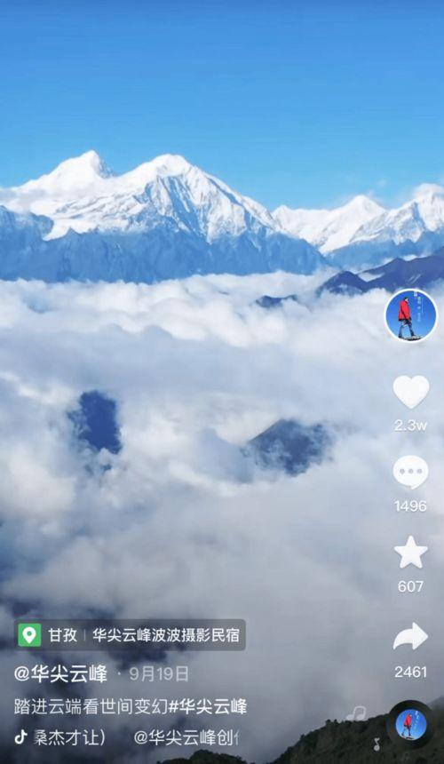 网红暖心事迹,网红暖心事迹感动万千网友