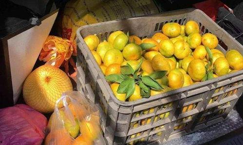 14元一箱网红水果,网红水果新潮流来袭！”