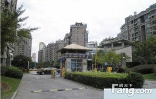 当代新诗苑精英金榜头条,诗坛新锐崛起，诗意盎然新时代