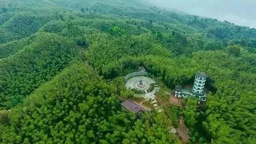 网红地竹海,网红打卡地的自然奇观之旅