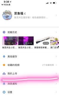 每日头条如何发视频,轻松打造热门短视频