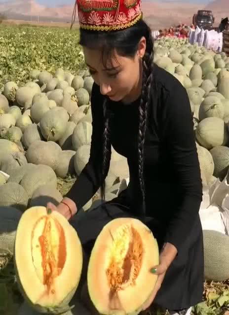 空姐吃瓜新疆,新疆瓜果背后的故事