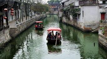 杭州枫泾古镇新闻头条,历史文化名镇焕发新活力