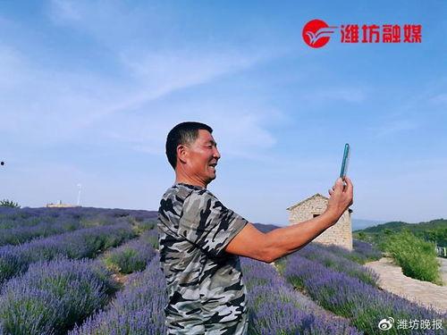 山东各县网红村名,山东网红村名背后的乡村振兴故事