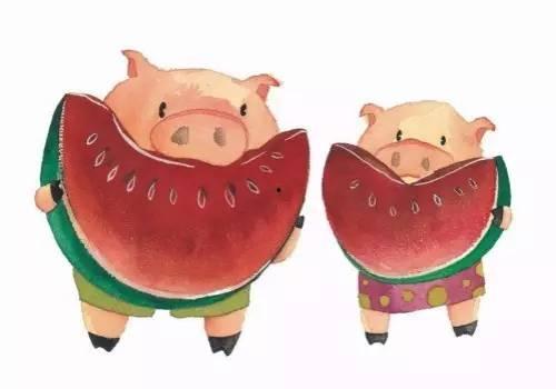 猪吃贝贝瓜,田园生活乐无边