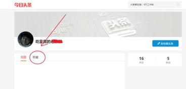 怎样查询头条里的消息,如何高效查询今日头条中的最新消息