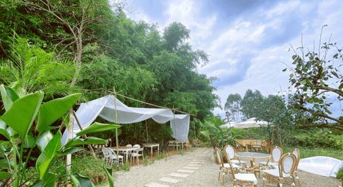 网红打造农场的方法